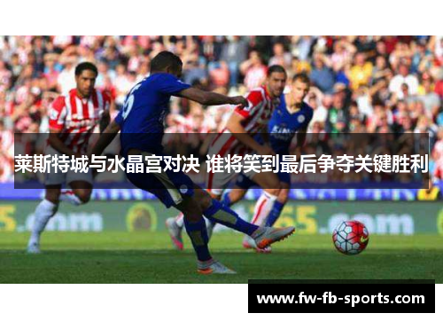 莱斯特城与水晶宫对决 谁将笑到最后争夺关键胜利