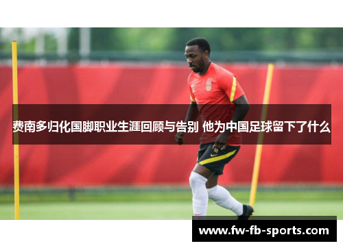 费南多归化国脚职业生涯回顾与告别 他为中国足球留下了什么