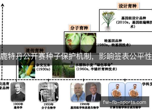 鹿特丹公开赛种子保护机制，影响签表公平性