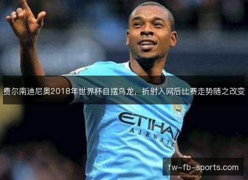 费尔南迪尼奥2018年世界杯自摆乌龙，折射入网后比赛走势随之改变